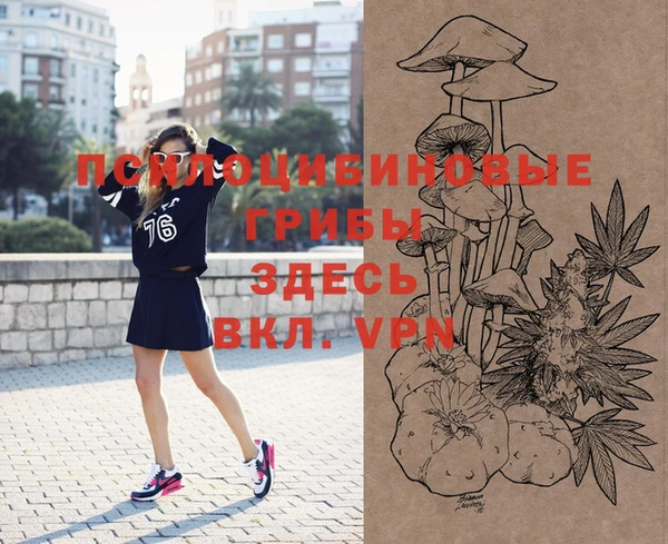 бутират Щучье