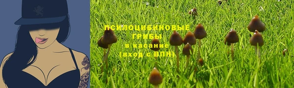 альфа пвп Щигры