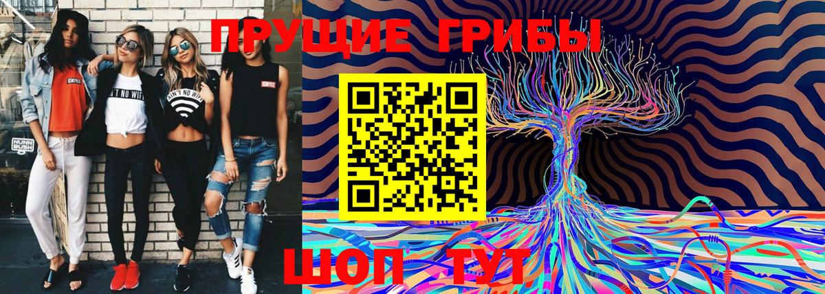 Псилоцибиновые грибы ЛСД  Братск 