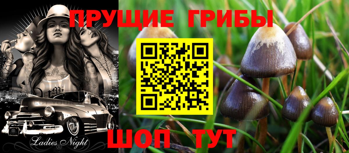Псилоцибиновые грибы ЛСД Братск